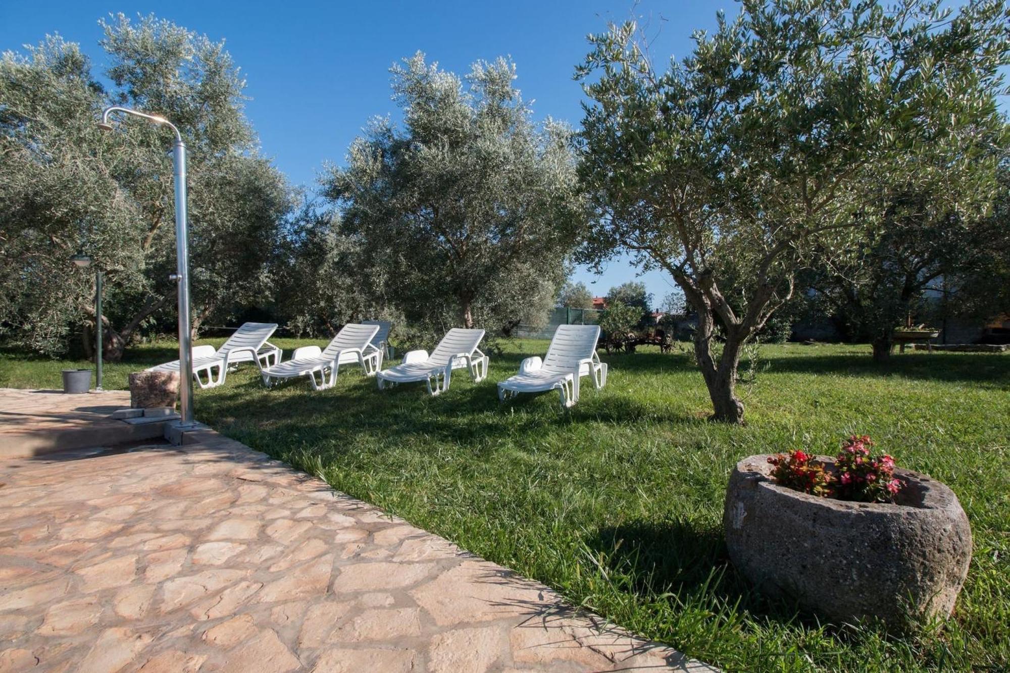 Marceta - Apartments & Rooms With Swimming Pool Fažana Kültér fotó